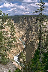 Yellowstone in Wyoming, USA